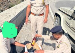 शिलाई : टिम्बी में 12 बोतल देसी शराब के साथ व्यक्ति गिरफ्तार