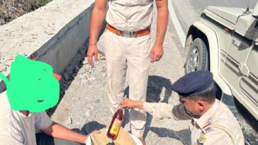 शिलाई : टिम्बी में 12 बोतल देसी शराब के साथ व्यक्ति गिरफ्तार