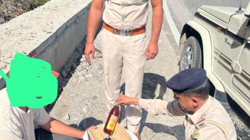 शिलाई : टिम्बी में 12 बोतल देसी शराब के साथ व्यक्ति गिरफ्तार