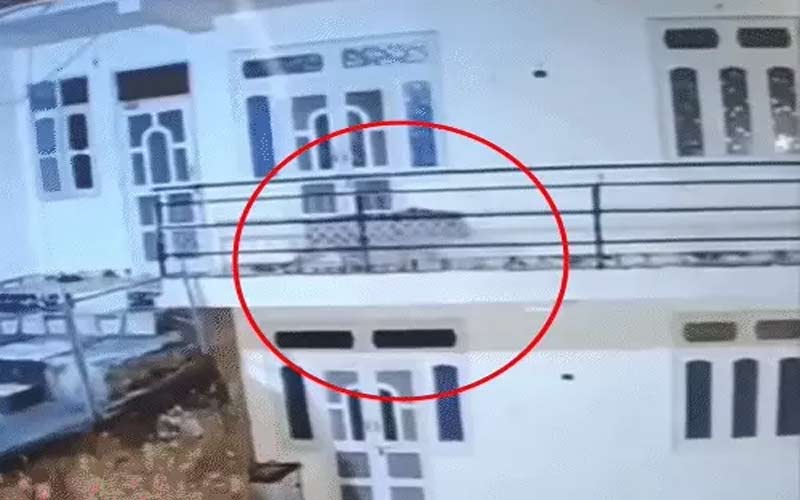 HP News: आधी रात को घर की दूसरी मंजिल पर पहुंचा तेंदुआ! कुत्ते को बनाया शिकार! दहशत में लोग