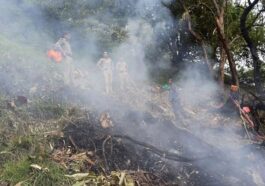 Kedarnath Helicopter Crash: उत्तराखंड में बड़ा हादसा! हेलिकॉप्टर क्रैश होने से सात की मौत, 23 महीने का बच्चा भी शामिल