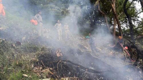 Kedarnath Helicopter Crash: उत्तराखंड में बड़ा हादसा! हेलिकॉप्टर क्रैश होने से सात की मौत, 23 महीने का बच्चा भी शामिल