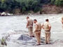 Himachal News Update: पुल से रावी नदी में कूदे व्यक्ति का दूसरे दिन भी नहीं लगा कोई सुराग! सर्च अभियान जारी