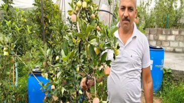 HP News: पूर्ण बुनकर ने रचा सेब बागवानी में नया अध्याय! देशभर में बनाई पहचान, अब ग्राहक पहुंच रहे घर-द्वार