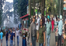 HP Tourism: कसौली-चायल में सैलानियों की भारी भीड़! 100 फीसदी होटल पैक, सड़कों पर जाम