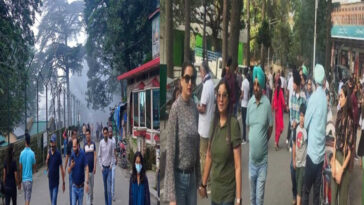 HP Tourism: कसौली-चायल में सैलानियों की भारी भीड़! 100 फीसदी होटल पैक, सड़कों पर जाम