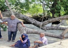 हिमाचल मे कहर बनकर गिरा पेड़: मंदिर में भंडारे की तैयारी कर रहे 14 साल के बच्चे की दर्दनाक मौ+त