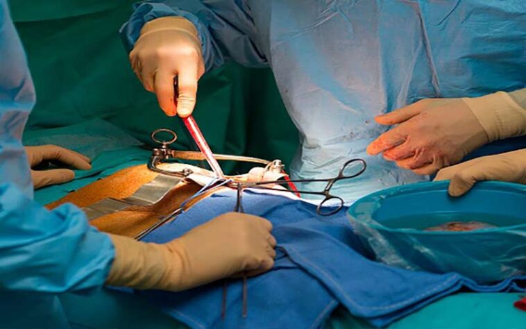 Himachal News: हिमाचल में बहन ने बचाई भाई की जान! 38 वर्षीय अंजू ने किडनी देकर स्वरूप को दिया नया जीवन