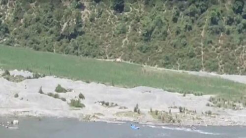 Himachal News Alert: हिमाचल में 85 वर्षीय बुजुर्ग ने पुल से नदी में लगाईं छलांग! तेज लहरों में लापता