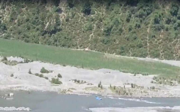 Himachal News Alert: हिमाचल में 85 वर्षीय बुजुर्ग ने पुल से नदी में लगाईं छलांग! तेज लहरों में लापता