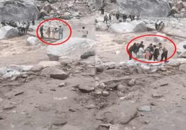 Himachal News: पुलिया से फिसलकर नाले में गिरी राशन लेकर जा रही महिला! टैक्सी चालक ने ऐसे बचाई जान