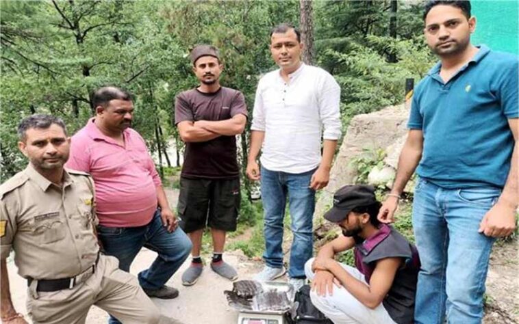 Himachal Crime News: एएनटीएफ टीम ने चरस की बड़ी खेप सहित दबोचा नेपाली! गश्त के दौरान मिली कामयाबी