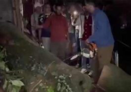 HP News: शिलाई निवासी 15 वर्षीय किशोर के साथ शिमला में हादसा! पेड़ की चपेट में आने से गंभीर घायल