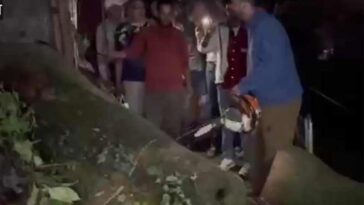 HP News: शिलाई निवासी 15 वर्षीय किशोर के साथ शिमला में हादसा! पेड़ की चपेट में आने से गंभीर घायल