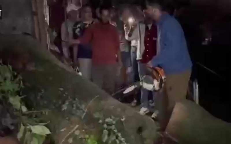 HP News: शिलाई निवासी 15 वर्षीय किशोर के साथ शिमला में हादसा! पेड़ की चपेट में आने से गंभीर घायल