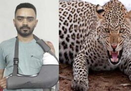 Sirmour News: चलती बाइक पर झपटा तेंदुआ! ड्यूटी खत्म कर घर लौट रहे युवक गंभीर घायल