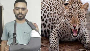 Sirmour News: चलती बाइक पर झपटा तेंदुआ! ड्यूटी खत्म कर घर लौट रहे युवक गंभीर घायल