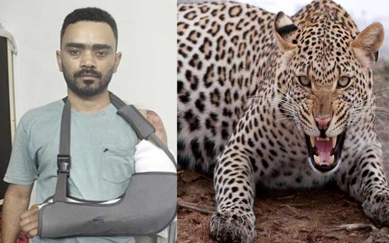 Sirmour News: चलती बाइक पर झपटा तेंदुआ! ड्यूटी खत्म कर घर लौट रहे युवक गंभीर घायल