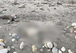 Himachal News Alert: हिमाचल में यहां अधजली हालत में मिला महिला का शव! अभी तक नहीं हुई शिनाख्त