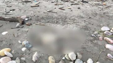 Himachal News Alert: हिमाचल में यहां अधजली हालत में मिला महिला का शव! अभी तक नहीं हुई शिनाख्त