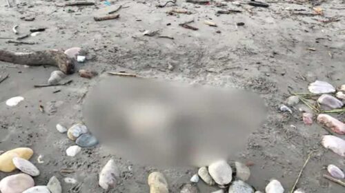 Himachal News Alert: हिमाचल में यहां अधजली हालत में मिला महिला का शव! अभी तक नहीं हुई शिनाख्त
