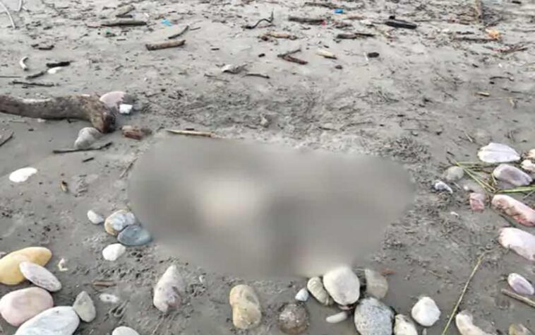 Himachal News Alert: हिमाचल में यहां अधजली हालत में मिला महिला का शव! अभी तक नहीं हुई शिनाख्त