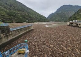 HP News: बादल फटने के बाद पंडोह डैम में एकत्रित वन लकड़ियों की जांच करेगी सीआईडी