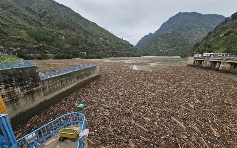 HP News: बादल फटने के बाद पंडोह डैम में एकत्रित वन लकड़ियों की जांच करेगी सीआईडी