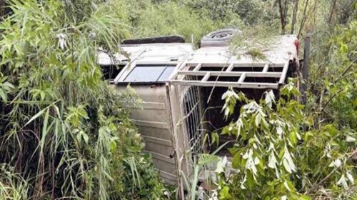 Accident In Himachal: गहरी खाई में गिरी कार! सेब बेचकर लौट रहे व्यक्ति की मौत, एक लापता Accident In Himachal: गहरी खाई में गिरी कार! सेब बेचकर लौट रहे व्यक्ति की मौत, एक लापता