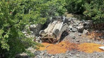 Accident In Himachal: गहरी खाई में गिरी कार! 27 वर्षीय युवक की मौत, ड्राइवर गंभीर घायल