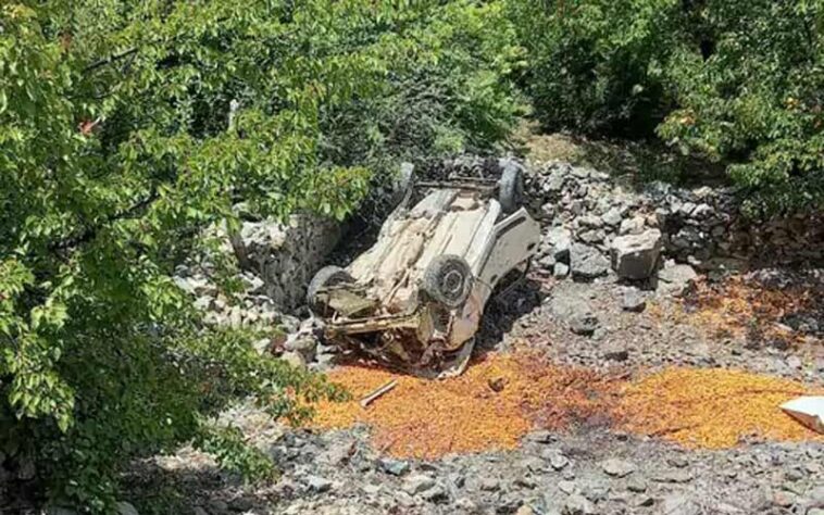 Accident In Himachal: गहरी खाई में गिरी कार! 27 वर्षीय युवक की मौत, ड्राइवर गंभीर घायल