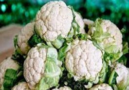 Himachal News: फूलगोभी के दामों में आया उछाल! इतने रूपए प्रतिकिलो बिकी, किसान खुश