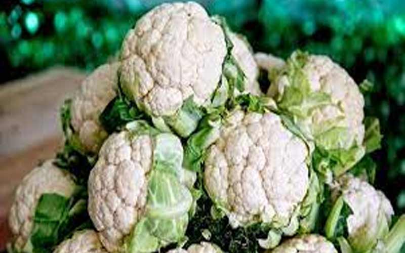 Himachal News: फूलगोभी के दामों में आया उछाल! इतने रूपए प्रतिकिलो बिकी, किसान खुश