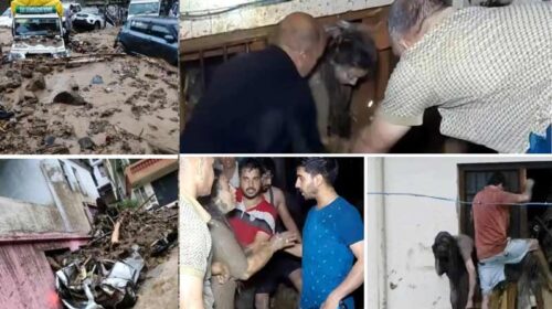 हिमाचल में बादल फटने से कहर बरपा: एक ही परिवार के तीन लोगों की मौत! एक लापता, खिड़कियां तोड़कर निकले लोग हिमाचल में बादल फटने से कहर बरपा: एक ही परिवार के तीन लोगों की मौत! एक लापता, खिड़कियां तोड़कर निकले लोग