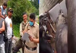 Himachal Crime News: हिमाचल में गौ तस्करी का भंडाफोड़! ट्रक से मिली 9 गाय, दो की हो चुकी थी मौत