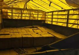 Himachal Crime News: सेब की पेटियों के नीचे छिपाई थी शराब! पुलिस ने पिकअप से पकड़ी 792 बोतले