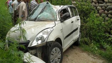 Accident In Himachal: सड़क पर पशुओं का झुंड आने से चालक का बिगड़ा संतुलन! गहरी खाई में लुढ़की कार