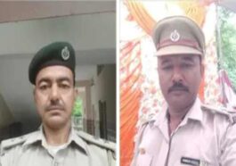HP News: सांपो की मूर्ति बनाने वाले वन विभाग को दी उपाधि! सुरेश ने 60 तो विनोद ने बनाए 45 सांप