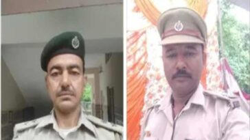 HP News: सांपो की मूर्ति बनाने वाले वन विभाग को दी उपाधि! सुरेश ने 60 तो विनोद ने बनाए 45 सांप