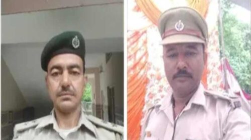 HP News: सांपो की मूर्ति बनाने वाले वन विभाग को दी उपाधि! सुरेश ने 60 तो विनोद ने बनाए 45 सांप