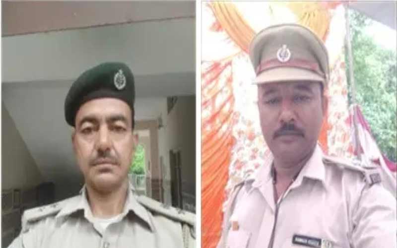 HP News: सांपो की मूर्ति बनाने वाले वन विभाग को दी उपाधि! सुरेश ने 60 तो विनोद ने बनाए 45 सांप