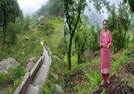 HP News: जाइका की 39.47 लाख की सिंचाई परियोजना से इस गांव में आई हरियाली! बंजर खेतों में फिर लहराई फसलें