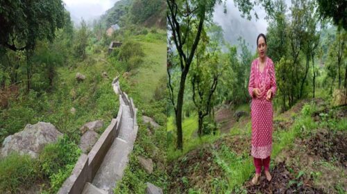 HP News: जाइका की 39.47 लाख की सिंचाई परियोजना से इस गांव में आई हरियाली! बंजर खेतों में फिर लहराई फसलें