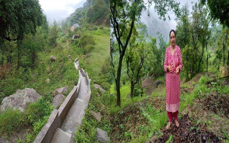 HP News: जाइका की 39.47 लाख की सिंचाई परियोजना से इस गांव में आई हरियाली! बंजर खेतों में फिर लहराई फसलें
