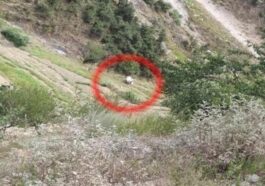 हिमाचल में बड़ा सड़क हादसा: गाड़ी के खाई में गिरने से दो लोगों की मौत, तीन गंभीर घायल