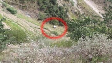 हिमाचल में बड़ा सड़क हादसा: गाड़ी के खाई में गिरने से दो लोगों की मौत, तीन गंभीर घायल