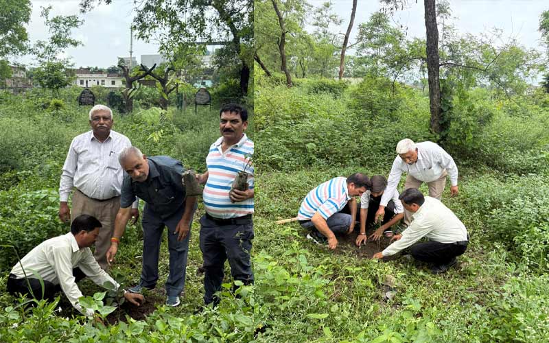 Paonta Sahib: फ्रेंड्स ऑफ फॉरेस्ट की बैठक में औषधीय पौधारोपण! हरि सिंह बने उपप्रधान