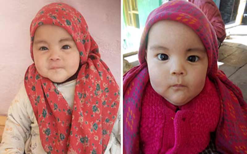 HP News: भीषण आपदा में अपनों को खो चुकी नीतिका को मिली सरकार की ममतामयी छांव! प्रतिमाह मिलेंगे चार हजार