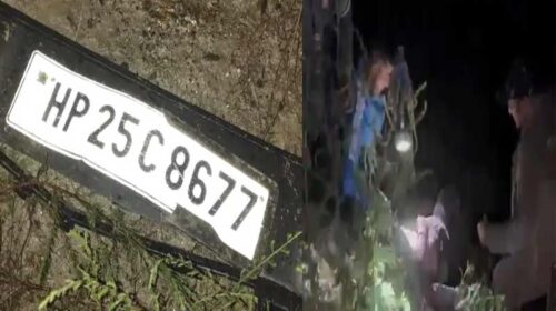 Accident In Himachal: सड़क से लुढ़क कर खड्ड में गिरी कार! उड़े परखच्चे, 26 वर्षीय युवक की मौत