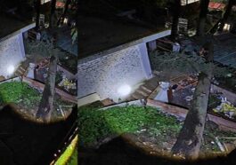 Himachal News Update: रिहायशी इलाके में गिरा पेड़! लोगों ने भाग कर बचाई जान, दो मकानों को नुकसान